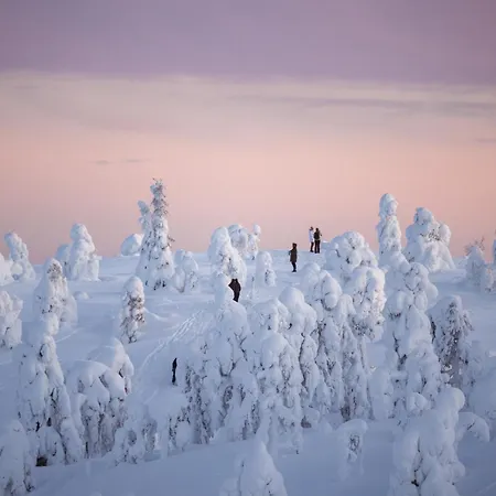 Peak - Boutique & Restaurant Otel 5*