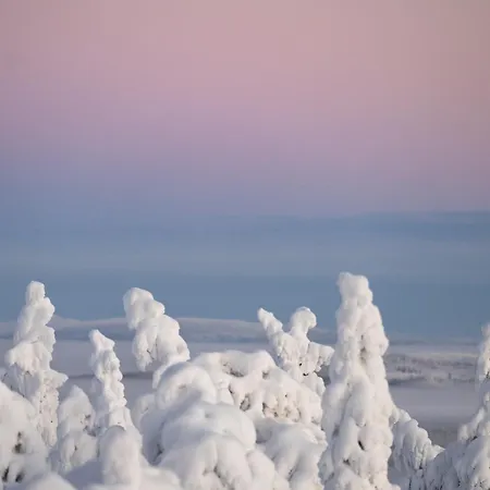 Otel Peak - Boutique & Restaurant Ruka