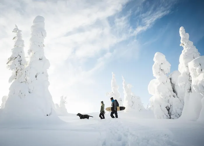 Hotel Peak - Boutique & Restaurant