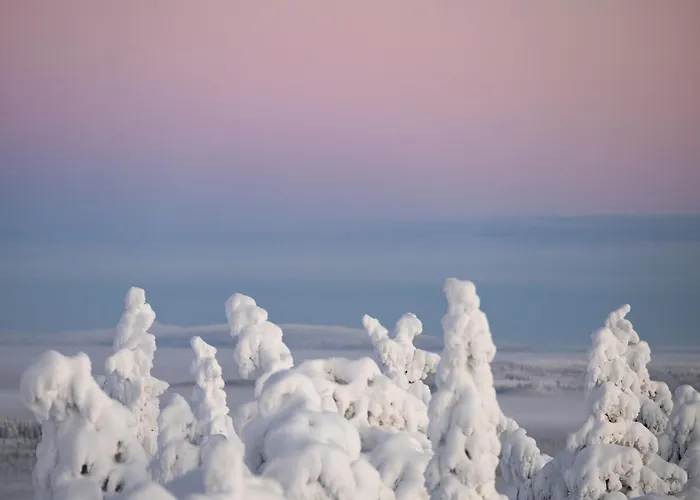 Hotel Peak - Boutique & Restaurant Rukatunturi