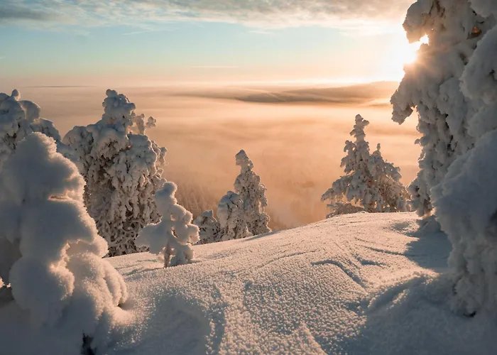 فندق Peak - Boutique & Restaurant